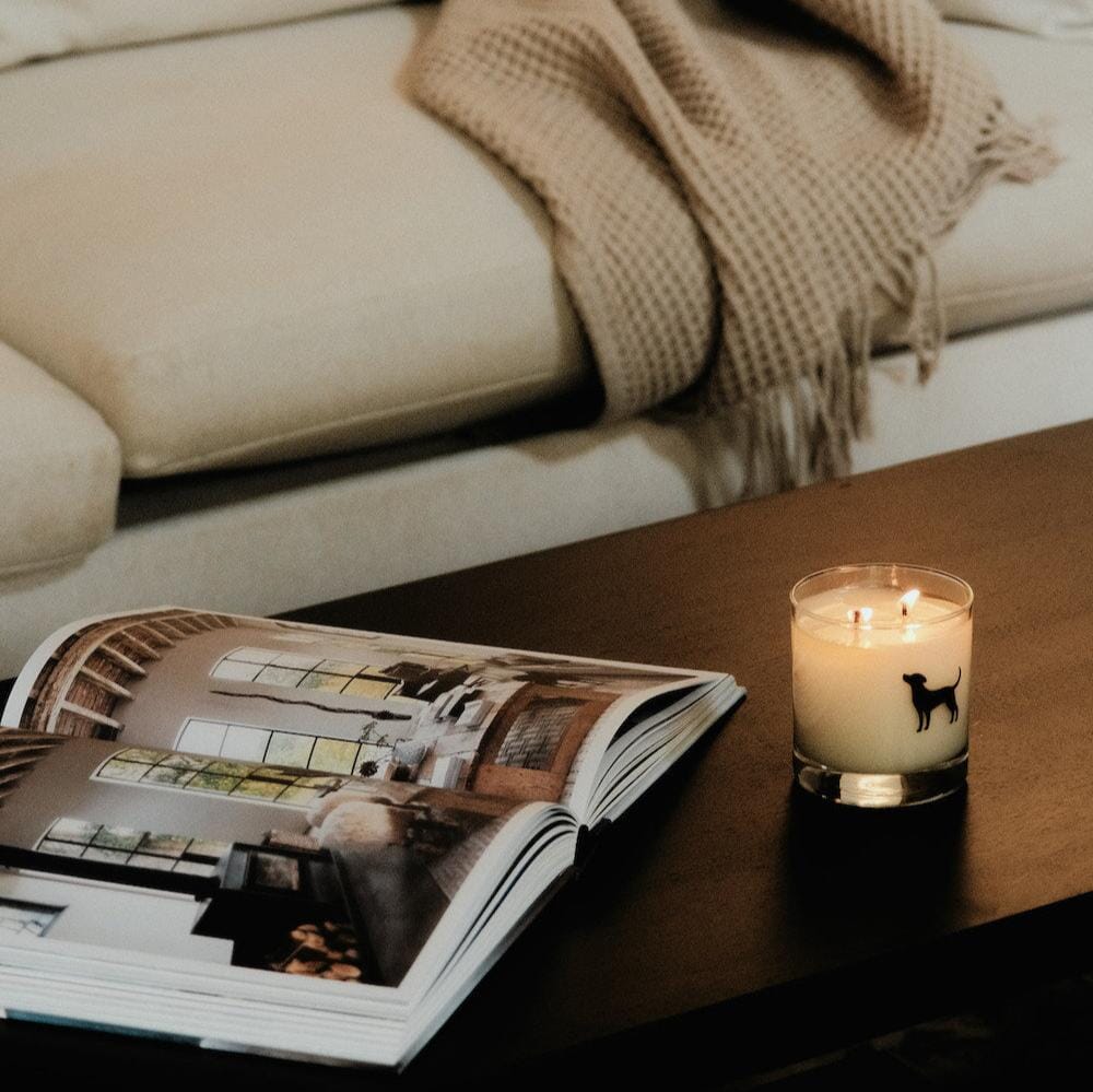 BARK RANGER CANDLE - Image 4