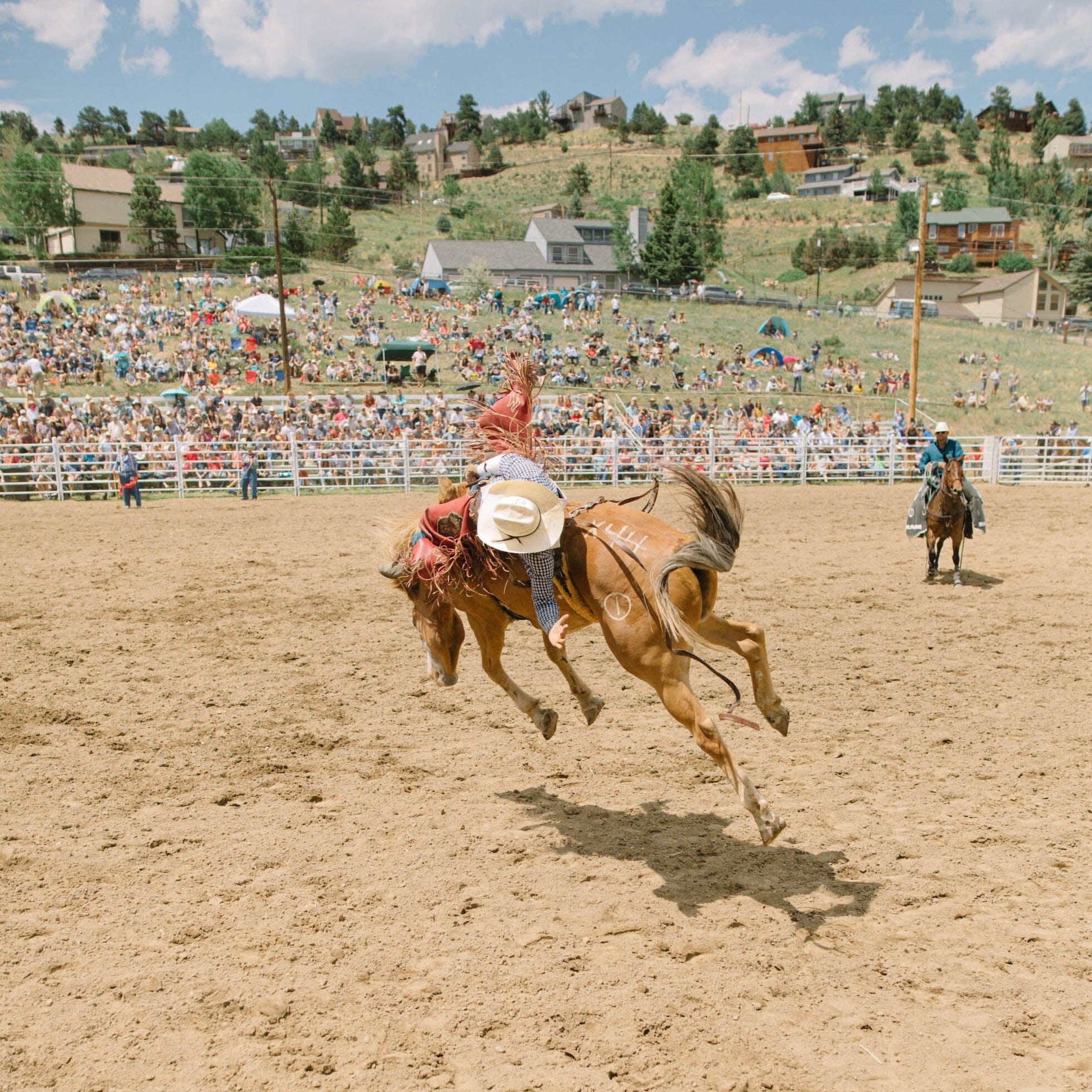 HIGH HORSE CANDLE - Image 4