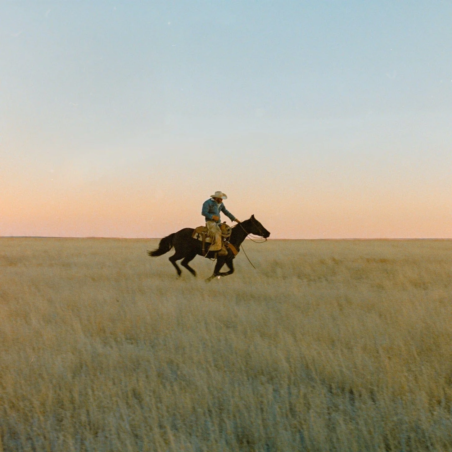 HIGH HORSE CANDLE - Image 6